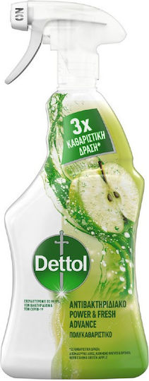 Dettol Cleaner Spray with Disinfectant Action