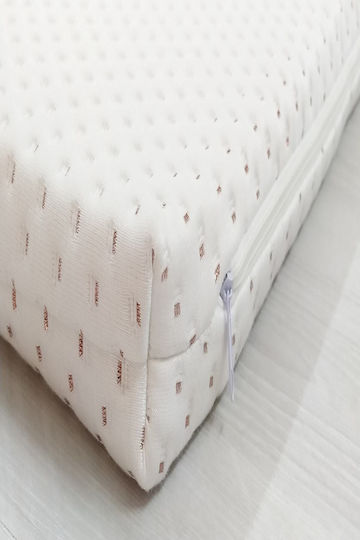 SteweHome Ανώστρωμα Μονό Foam με Αποσπώμενο Κάλυμμα 60x120x10εκ.