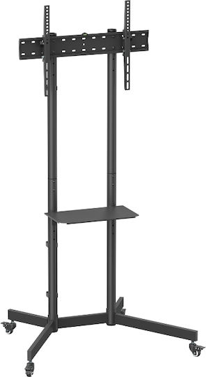 Akai Proffesional ST3670 Fernsehhalterung Boden bis 70" und 45kg