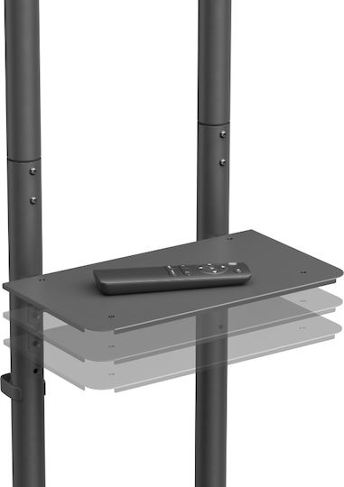 Akai Proffesional ST3670 Fernsehhalterung Boden bis 70" und 45kg
