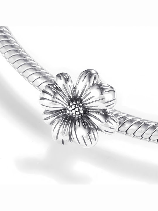 Pandora Charm από Ασήμι