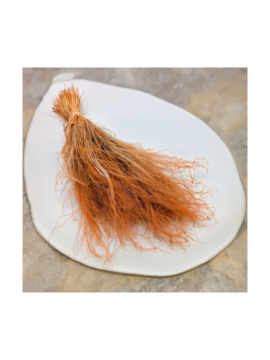 Dried Stipa Feather Grass Stipa Pennata Mustard Yellow