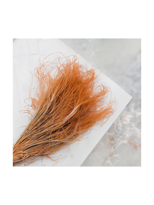 Dried Stipa Feather Grass Stipa Pennata Mustard Yellow