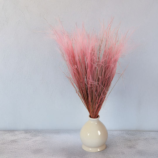 Dried Stipa Feather Grass Stipa Pennata Antique Pink