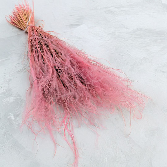 Dried Stipa Feather Grass Stipa Pennata Antique Pink
