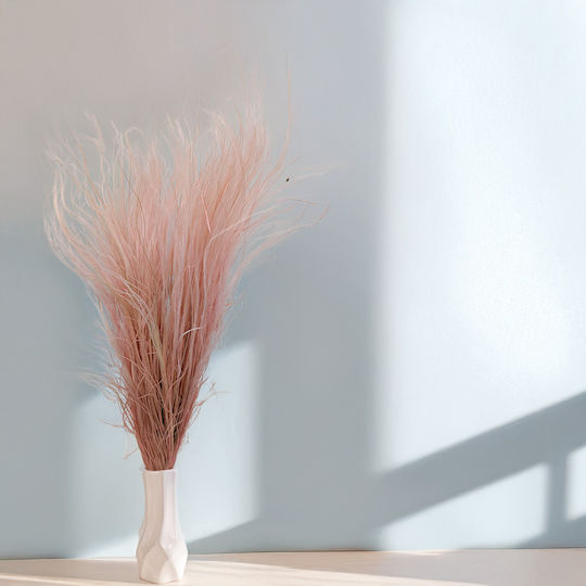 Dried Stipa Feather Grass Stipa Pennata Heather