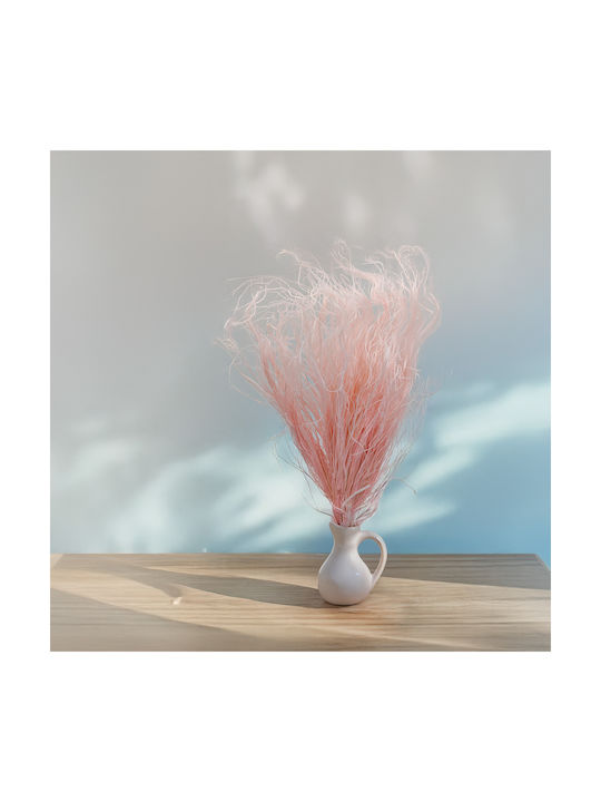 Dried Stipa Feather Grass Stipa Pennata Pink
