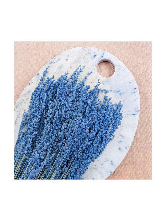 Dried Mini Quaking Grass Briza Minima Blue