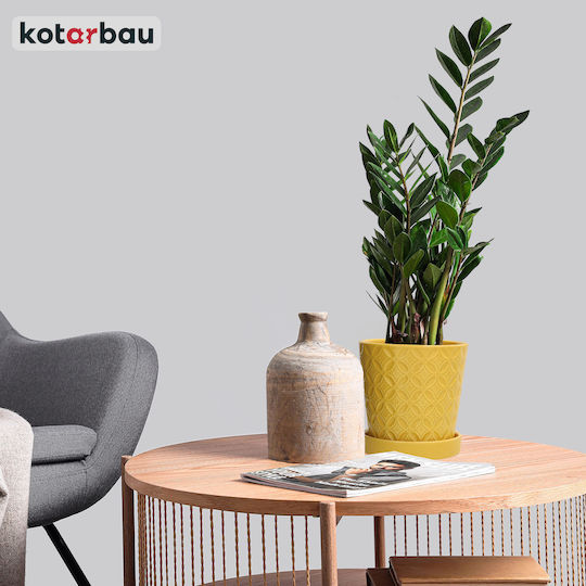 Kotarbau Set 2 Keramik Blumentöpfe Senfgelb Kotarbau Set 2 Keramik Blumentöpfe Senfgelb