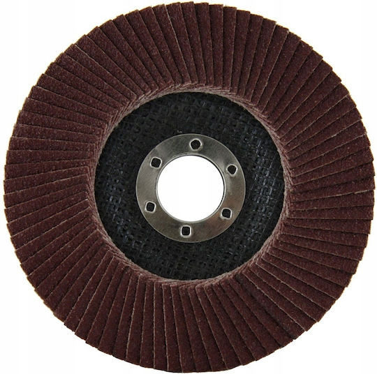 125mm P60 Flap Disc Grinding