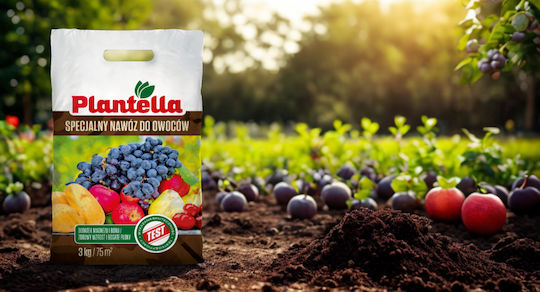 Plantella Тор За Плодородни Дървета Лозя Картофи Бор 3кг Х2