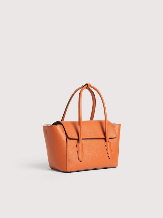 Coccinelle