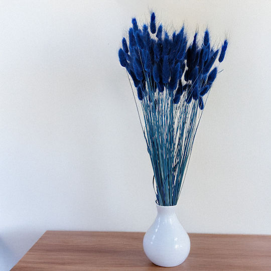 Dried Lagurus Bunny Tail Grass Dark Blue