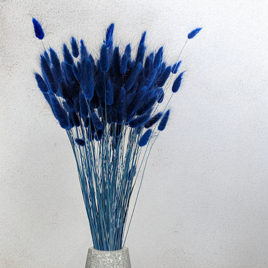 Dried Lagurus Bunny Tail Grass Dark Blue