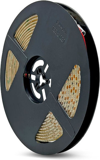 Geyer Αδιάβροχη Ταινία LED Eco 12V Πράσινο Φως