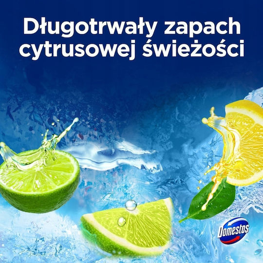 Domestos Block Λεκάνης 2x50gr