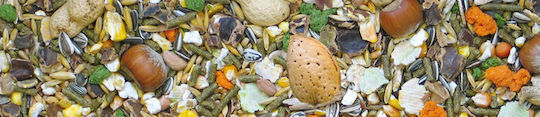 Manitoba Food for Guinea Pig Rabbit Squirrel Hamster Roditori 1kg