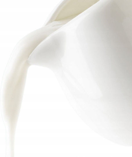 Orion Porcelain White Serving Milk Jug