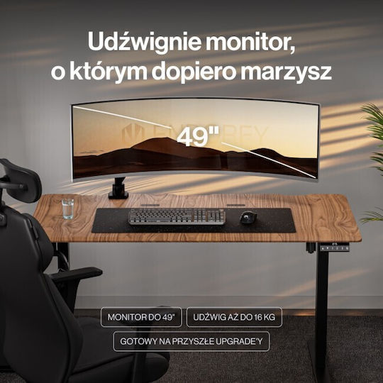 Endorfy Atlas GS Pro Suport Birou Monitor până la 49" cu Braț