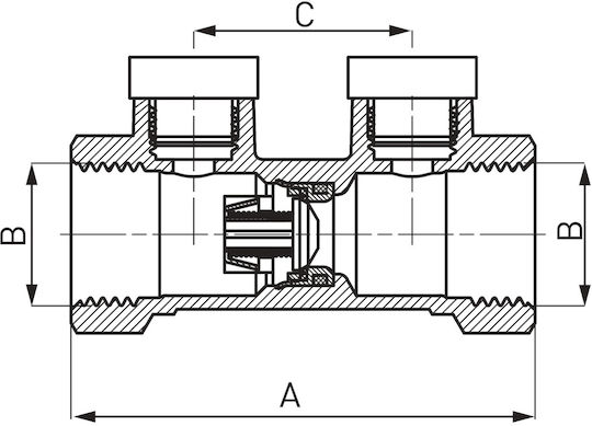 Anti-contamination Valve 1 1-4" Ea Class