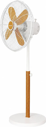 Gruppe Ivory - Wood
