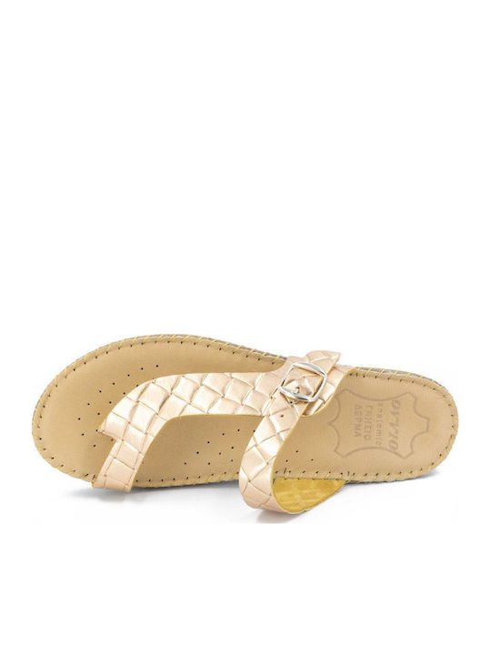 Anatomic Summer Women's Gold Platforms