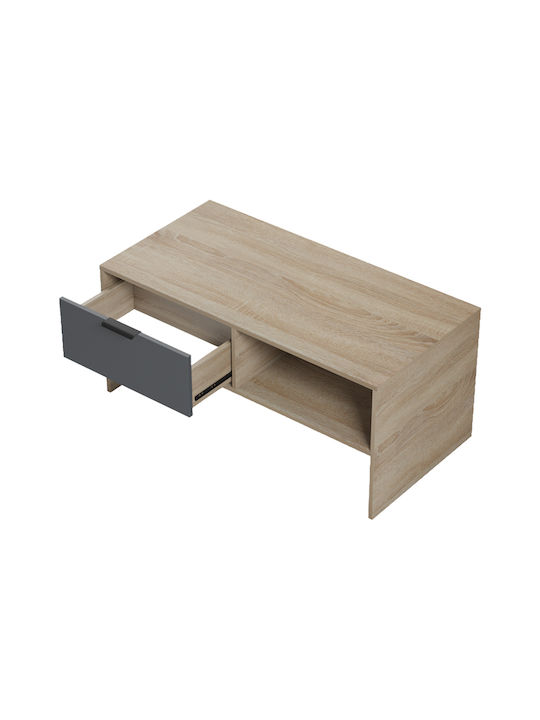 Rectangular Central Coffee Table Felina Wooden Anthracite L100xW50xH45cm
