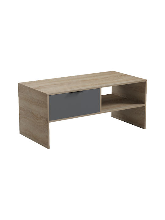 Rectangular Central Coffee Table Felina Wooden Anthracite L100xW50xH45cm