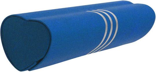 Caz Albastru Magnetic Pentru Ochelari Sthc-96a