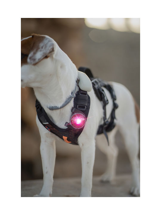 Φωτάκι Orbiloc Dog Dual Green