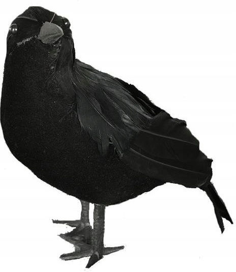 Decoration Ornament Black Raven Crow Jackdaw Bird Halloween 25cm