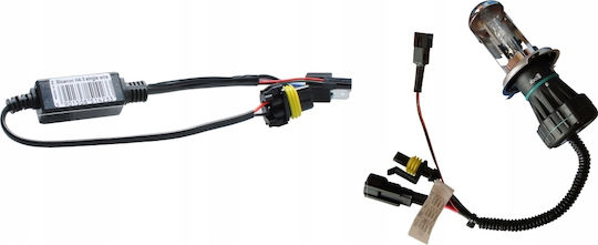 Wiring Harness H L Relay H4 Bixenon Hid Cable