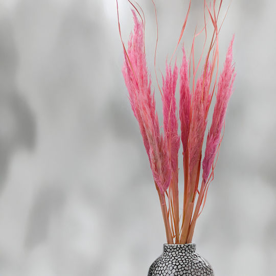 Mini Pampas Grass Pink 10pcs Mini Pampas Grass Pink 10pcs