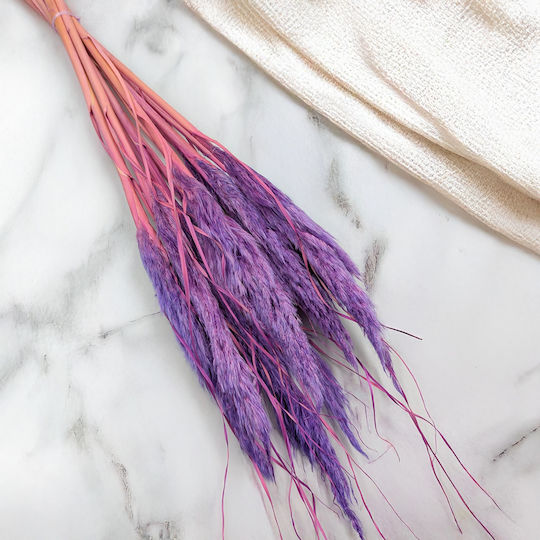 Mini Pampas Grass Lilac 10pcs