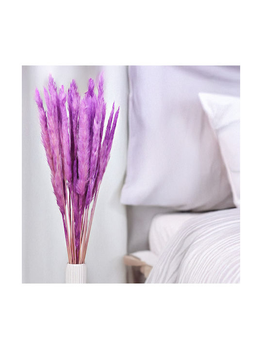 Mini Pampas Grass Purple