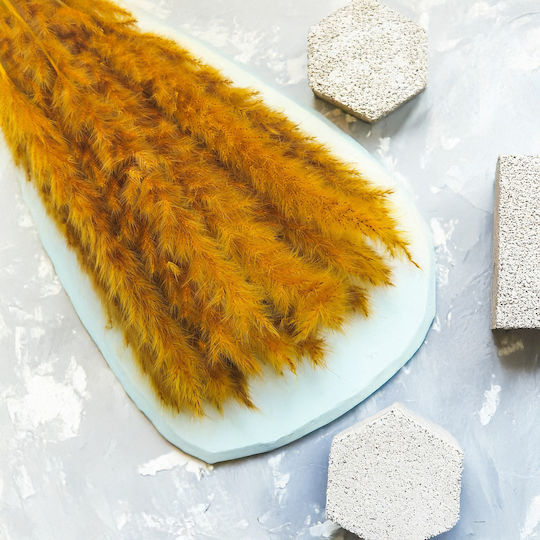 Mini Pampas Grass Mustard