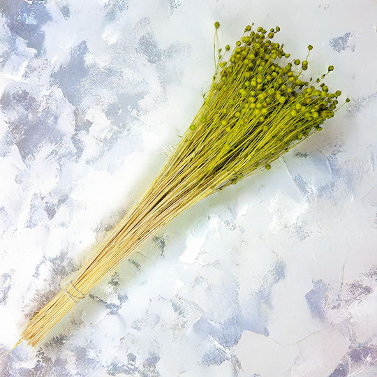 Dried Flaxseed Celadon