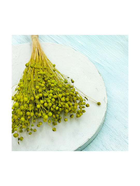 Dried Flaxseed Celadon