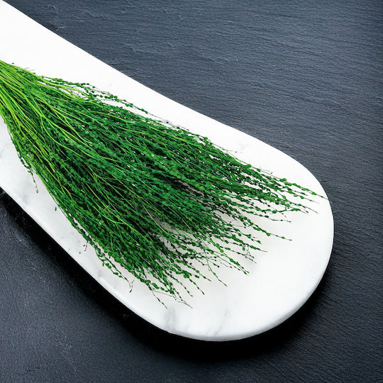 Lepidium Lepidium Sativum Green