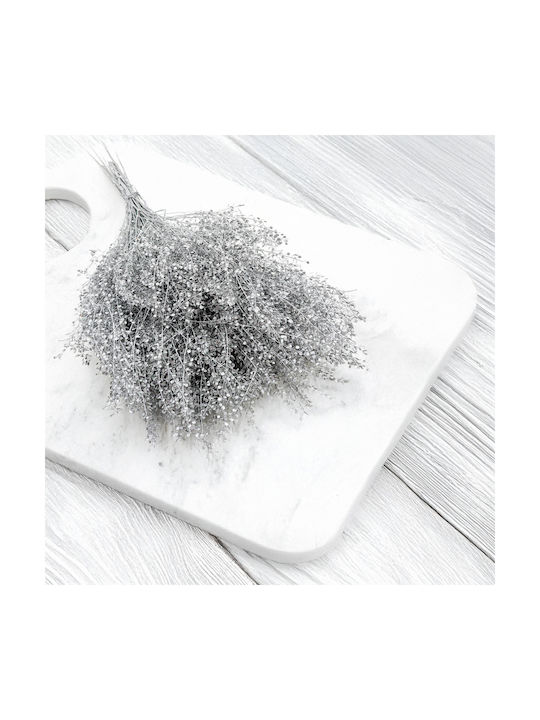 Dried Lepidium Lepidium Sativum Silver