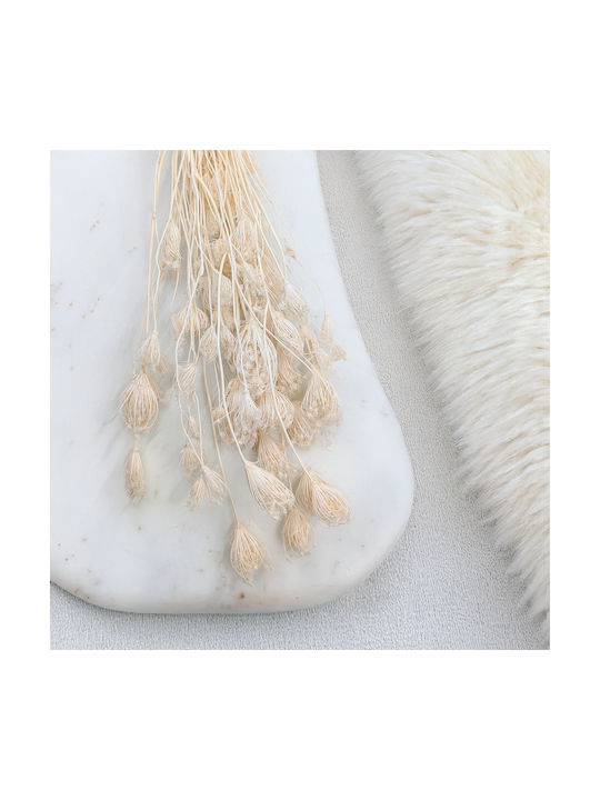 Fennel Bleached