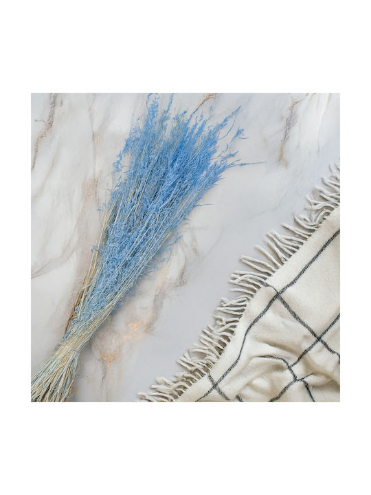 Dried Trembling Grass Briza Segromigno Blue