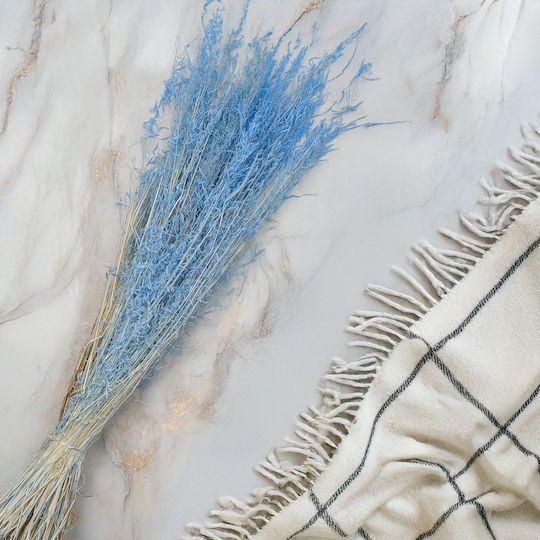 Dried Trembling Grass Briza Segromigno Blue