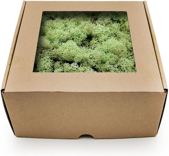 Reindeer Moss Norway Mint Green 500g Net