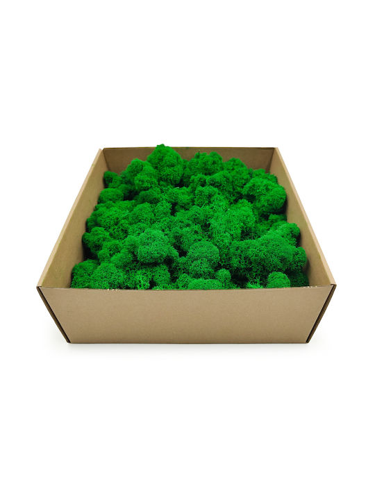Reindeer Moss Finnish Cleaned Green 500g Net