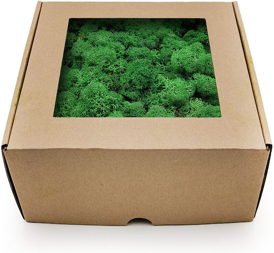 Reindeer Moss Lichen Norway Shadow Grass 50g Net Weight