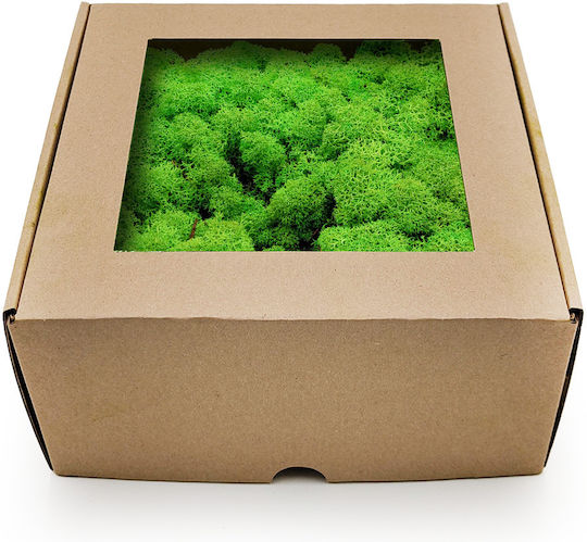 Reindeer Moss Lichen Norway Grass Green 500g Net Weight