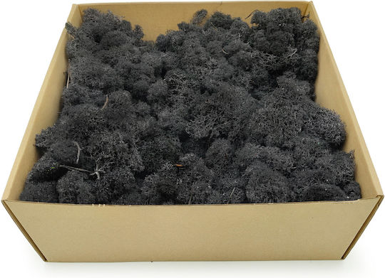Reindeer Moss Finnish Cleaned Black 50g Net