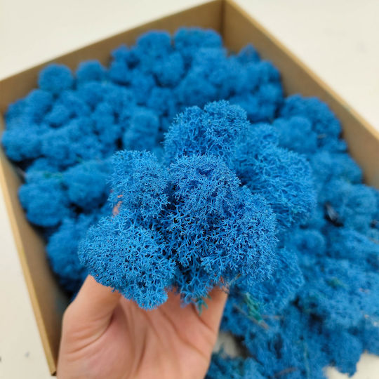 Rentiermoos Finnisch Gereinigt Blau 250g Netto