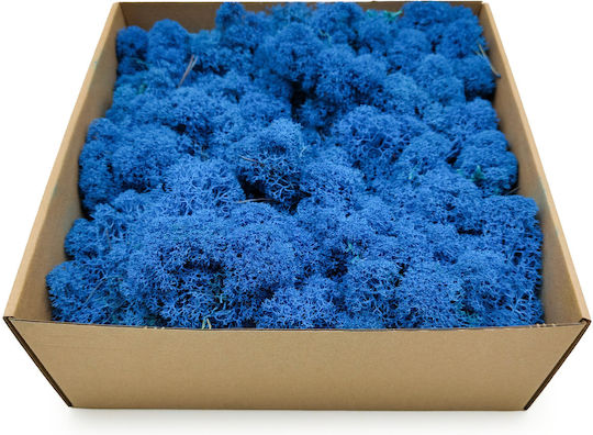 Reindeer Moss Finnish Cleaned Blue 500g Net